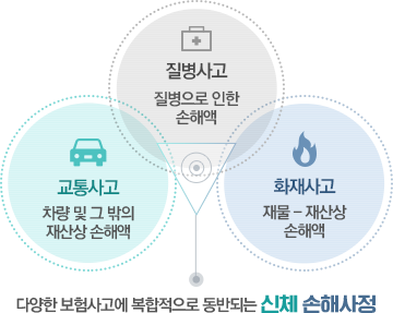 참벗손해사정